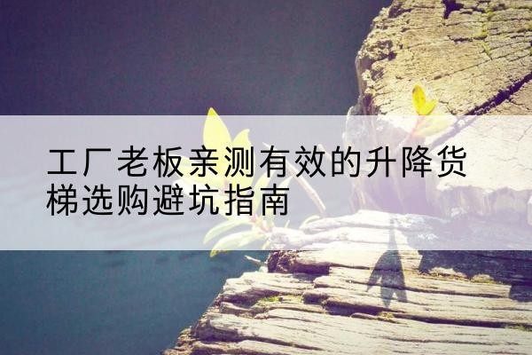 蚌山升降货梯怎么选-工厂老板亲测有效的升降货梯选购避坑指南