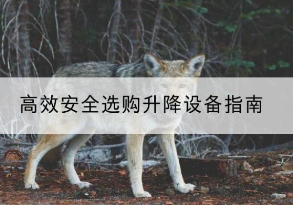 蚌山升降货梯厂家推荐-*安全选购升降设备指南