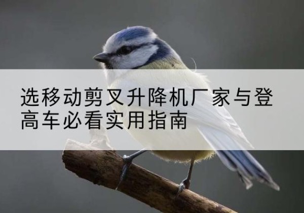 蚌山电动升降机厂家-选移动剪叉升降机厂家与登高车必看实用指南