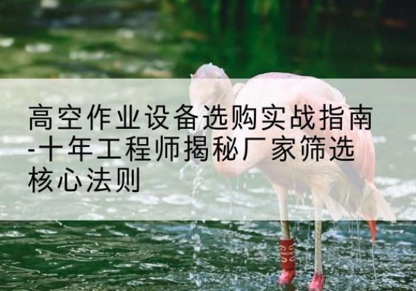 蚌山剪叉式升降机厂家-高空作业设备选购实战指南-十年工程师揭秘厂家筛选核心法则