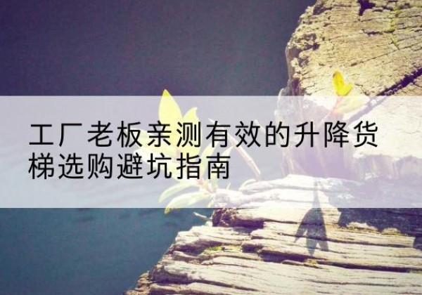 蚌山升降货梯怎么选-工厂老板亲测有效的升降货梯选购避坑指南